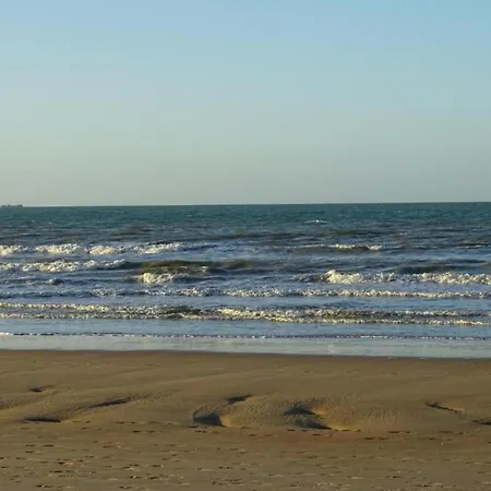 In Near The Lägenhet Nieuwpoort