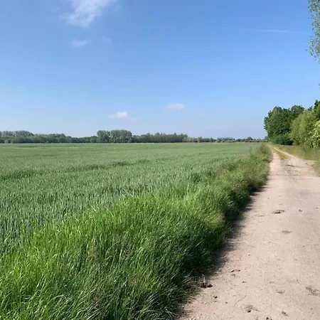 Apartamento In Near The