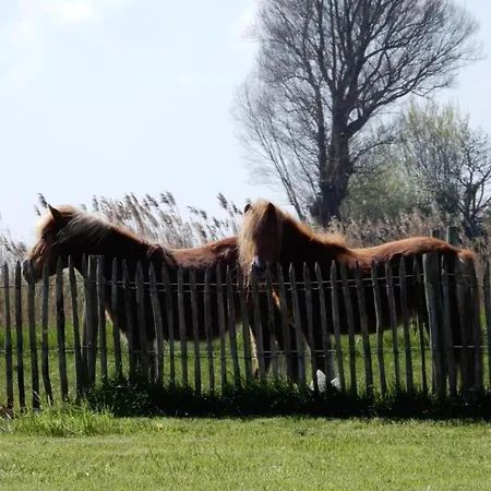 In Near The Lägenhet Nieuwpoort