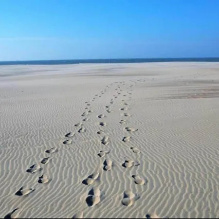 Lägenhet In Near The Nieuwpoort