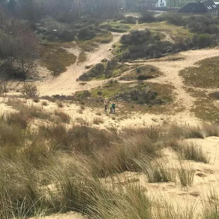 In Near The ニーウポールト