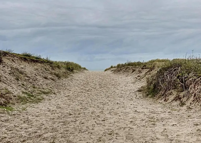 In Near The アパート