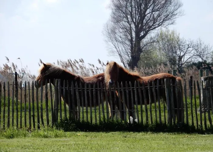 In Near The アパート ニーウポールト