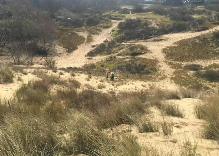 In Near The ニーウポールト