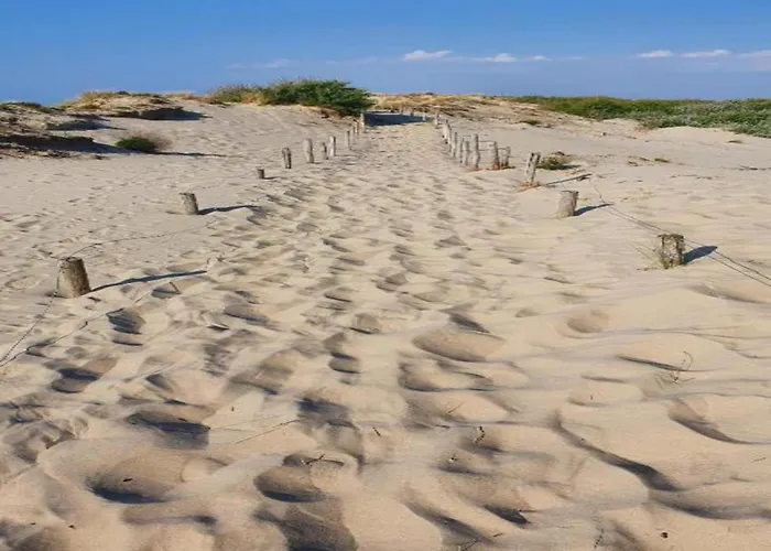 In Near The * ニーウポールト